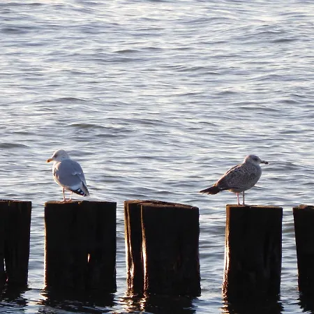 Haus Seewind Warnemuende _ Objekt * 로스토크